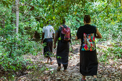 Exploring Nature's Treasures: A Private Day Trip in Diani Exploring Nature's Treasures: A Day Trip in Diani