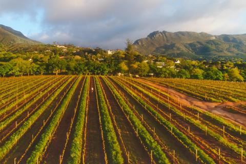 Constantia: Wine Walk with Lunch and Enchanting Stories