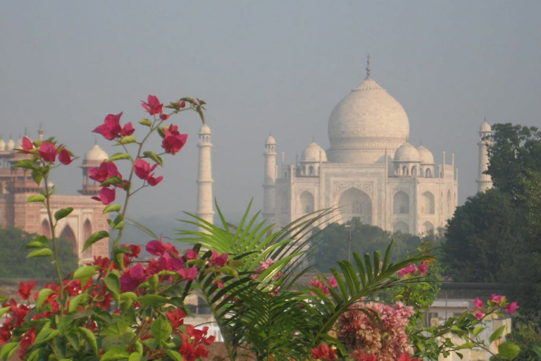 Visite guidée du Tajmahal et du Fort d'Agra sans file d'attente