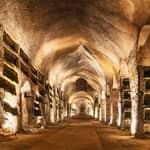 Napoli: Catacombe di San Gennaro Biglietto d'ingresso e tour guidato