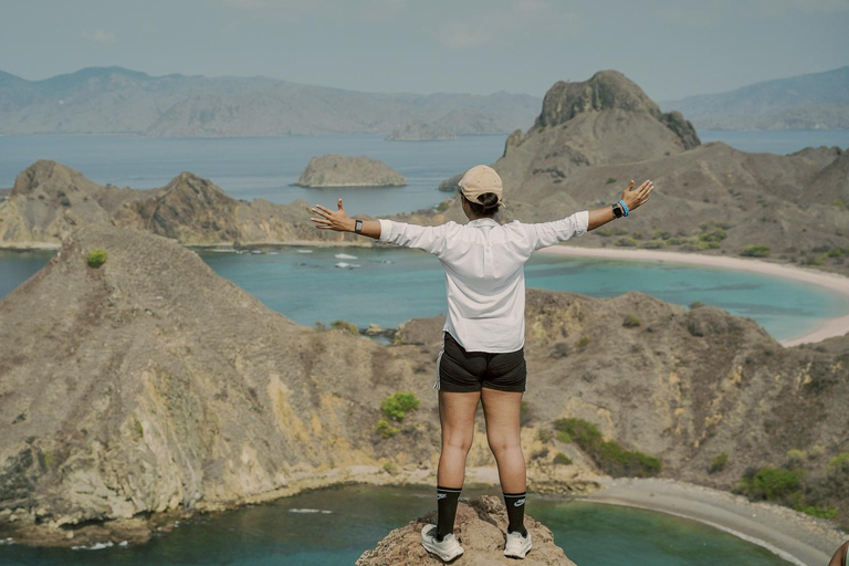 Labuan Bajo: Full-Day Komodo Speedboat Tour with Snorkeling