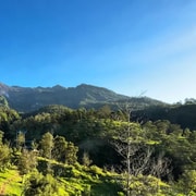 From Yogyakarta: Merapi Volcano and Dieng Plateau Day Trip