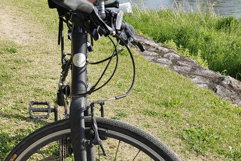 Kioto:Recorrido en Bicicleta por los Tres Jardines