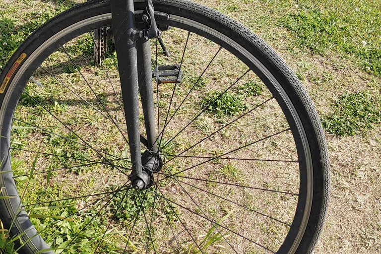 Kioto:Recorrido en Bicicleta por los Tres Jardines