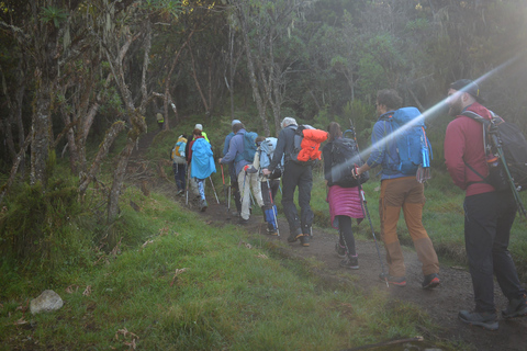 Meilleure excursion d&#039;une journée sur le mont Kilimandjaro via la route Machame