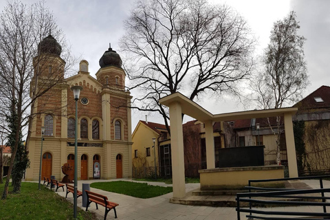 Bratislava: Jewish Heritage Tour with Sereď Holocaust Museum