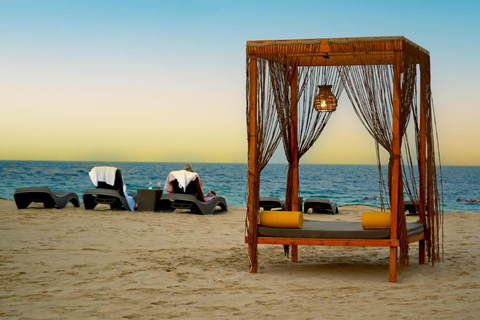 Doha: Full-Day Desert Safari, Dune Bashing & BBQ Dinner