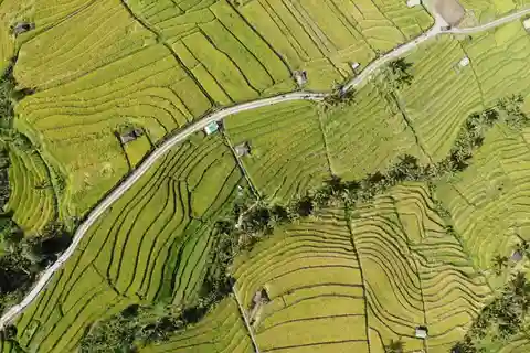 Bali: Tour di un giorno intero della Terrazza del Riso di Jatiluwih e del Tanah Lot