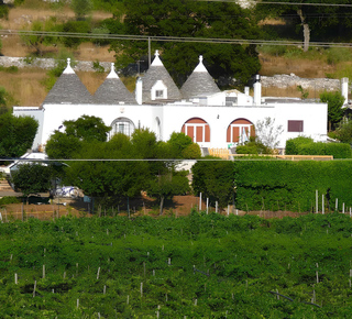 Gastronomic Experiences in Ostuni