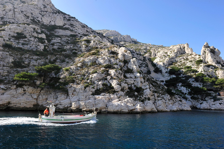 Sanary-sur-Mer: Tour of the Calanques of Cassis and Marseille 7 coves outing
