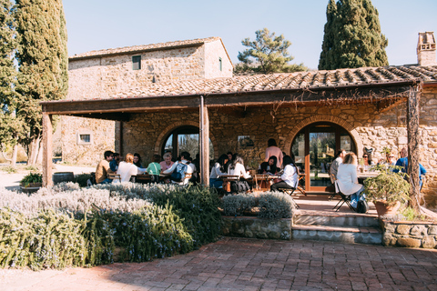 Von Florenz aus: Chianti-Hügel Halbtagestour mit WeinverkostungWeinkeller-Tour auf Englisch