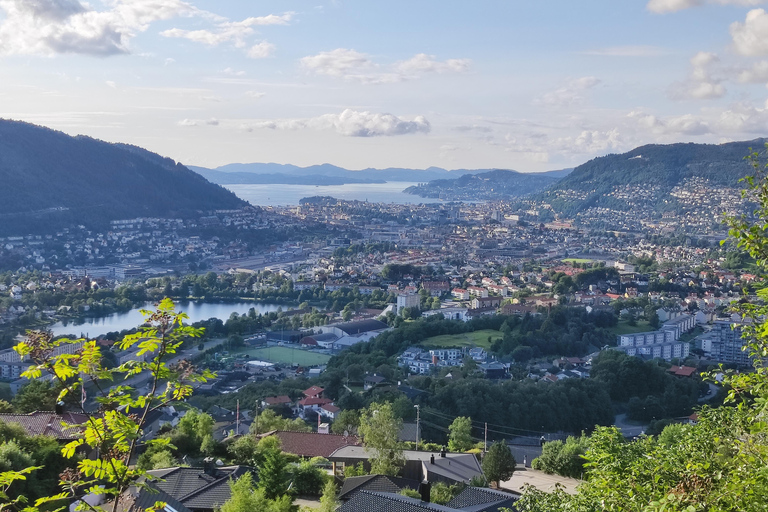 Bergen in a Nutshell: See It All in One Day