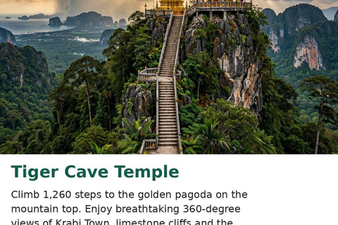 Krabi: Jungle, Hot Springs, and Night Market Day Trip