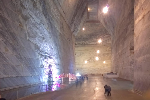 Depuis Bucarest : Excursion à la mine de sel et au palais de Mogosoaia