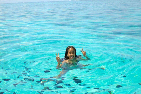 Mnemba Island: Delfinskådning och snorkling båtturMnemba Island: Delfinskådning och snorkling med båt