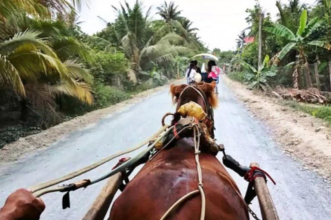 Ho Chi Minh: Cu Chi Tunnels Tour from Phu My Port Private Car ( Only Driver & Transport)