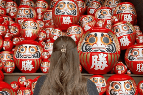 From Tokyo : Mount Fuji Private Day Trip with Hotel Pickup Mount Fuji & Hakone Customize Tour With English Guide
