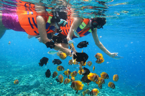 Amed: Private Traditional Boat Snorkeling Underwater Temple