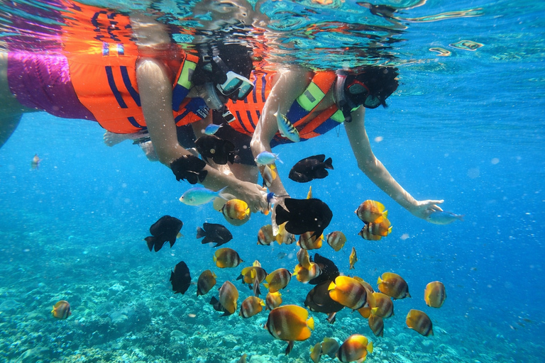 Amed: Private Traditional Boat Snorkeling Underwater Temple
