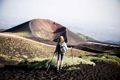 From Catania: Mount Etna & Walking Tour - Shore Excursion