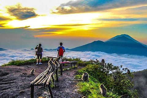 Vanuit Ubud: Mount Batur WandelenWandelen met trefpunt (geen transfer)