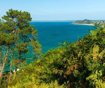 Trebeurden : Tour en bateau dans la baie de Lannion