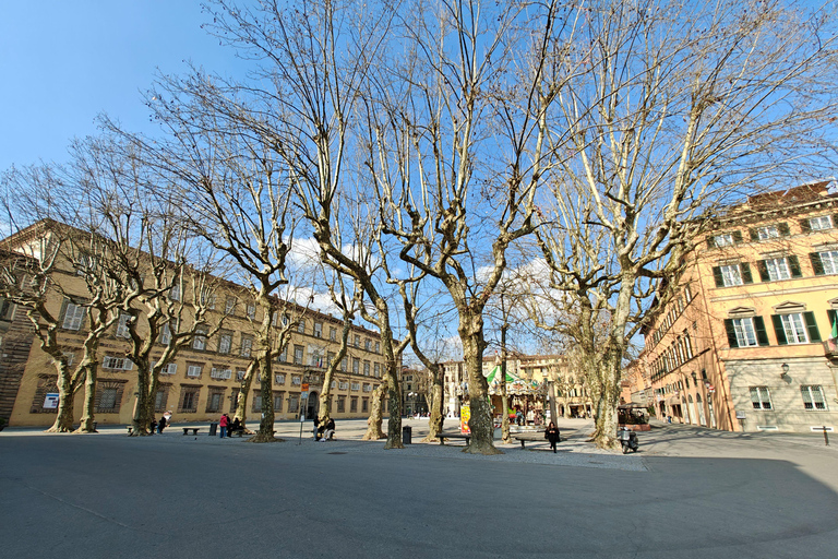 Florence: Tuscany 1-Day Flexible Sightseeing Bus Tour