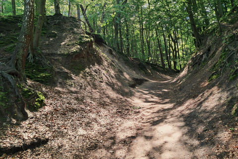 Gdynia: Forest, Cliff, and Beach Guided Walking Tour