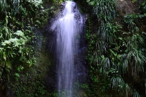 St. Lucia: Zwavelbronnen modderbad en Toraille waterval