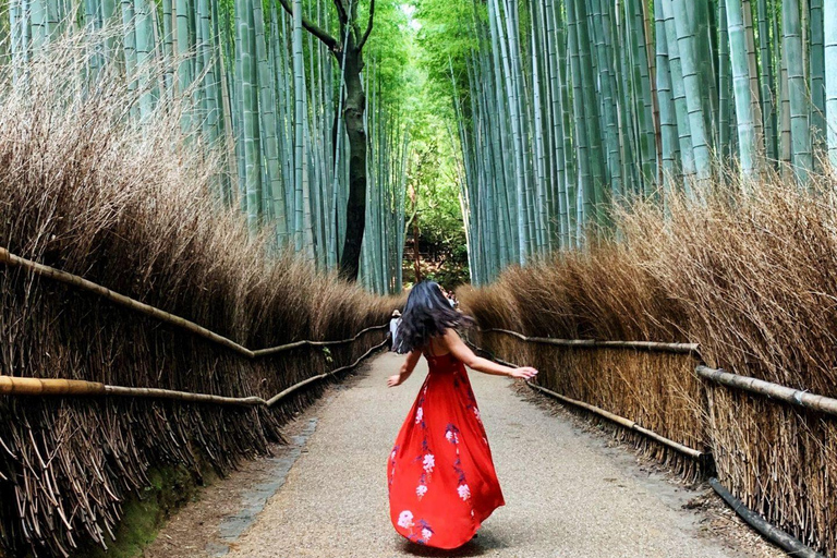 Quioto e Nara: tour privado de um dia em veículo com guia