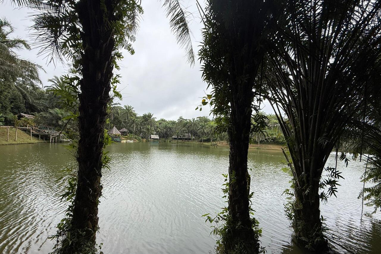 3 Tage und 2 Nächte Magoroto-Wald-Tagestour von Sansibar aus mit dem Flugzeug