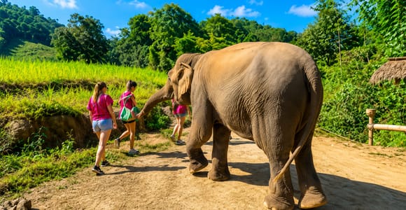 Chiang Mai: Elephant Sanctuary Local Hill Tribe Caretakers