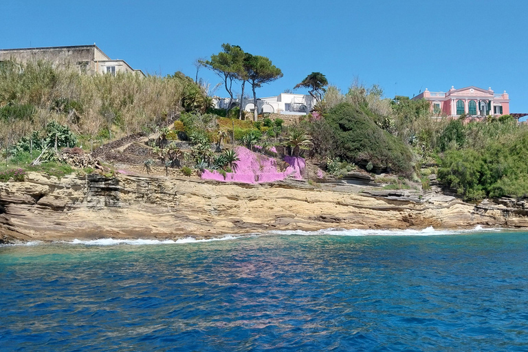 Procida : Excursion en bateau privé avec vue sur la mer et plongée en apnéeProcida Vue sur la mer