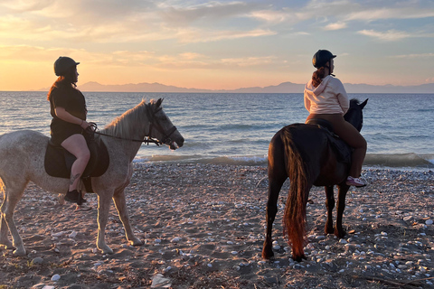 Rodi: Viaggio a cavallo con foto digitaliGita a cavallo mattutina in campagna