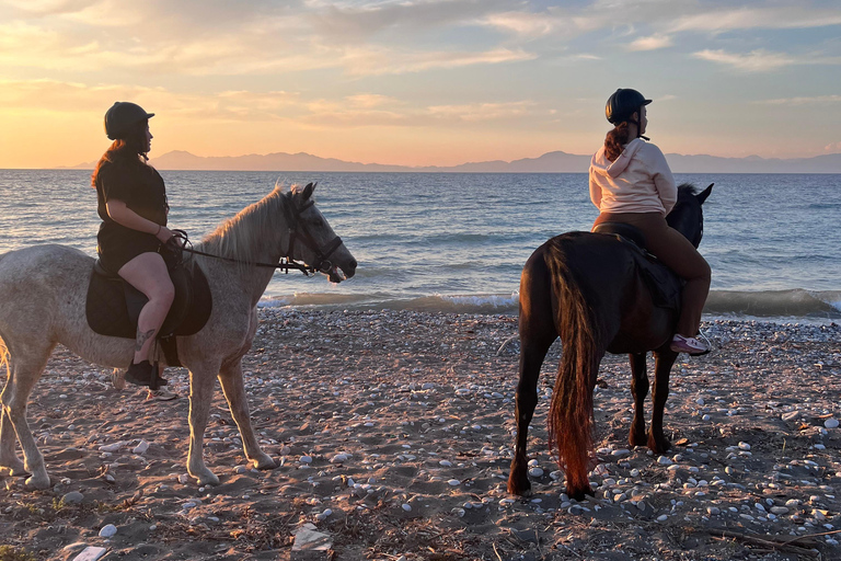 Rhodos: Reittour mit digitalen FotosReiten auf dem Lande am Morgen