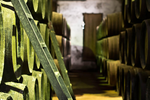 Chiclana de la Frontera : visite de cave avec dégustation de vinsChiclana de la Frontera : Visite d&#039;une cave avec dégustation de vins