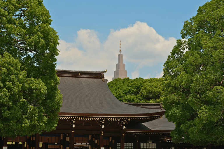 Tokio: wandeltour langs de hoogtepunten van Harajuku en Meiji JinguTijdreizen in Tokio: popcultuur in Harajuku en het Meiji Jingu-heiligdom