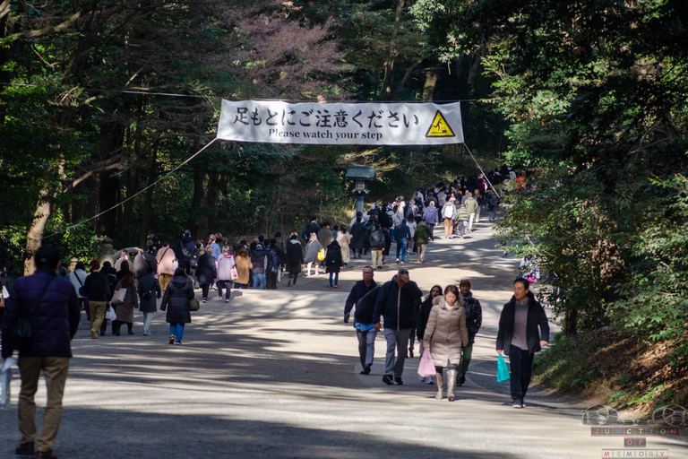 Tokyo en 4 heures (Meiji Jingu, Harajuku, Shibuya, Shijuku)