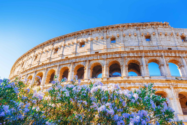 Rome: Colosseum Arena & Super Sites Early Entrance VIP Tour Chinese Tour