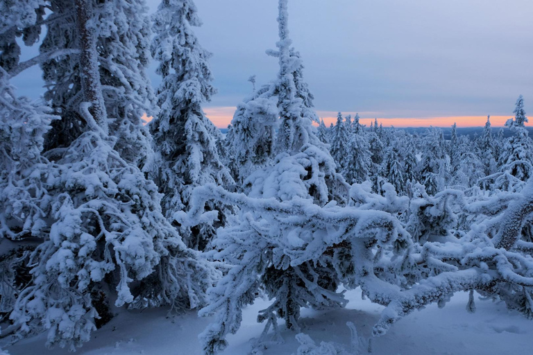 Rovaniemi: Auttiköngäs Winter Wilderness Hike & BBQ Auttiköngäs Winter Wilderness Hike & BBQ - Small Group