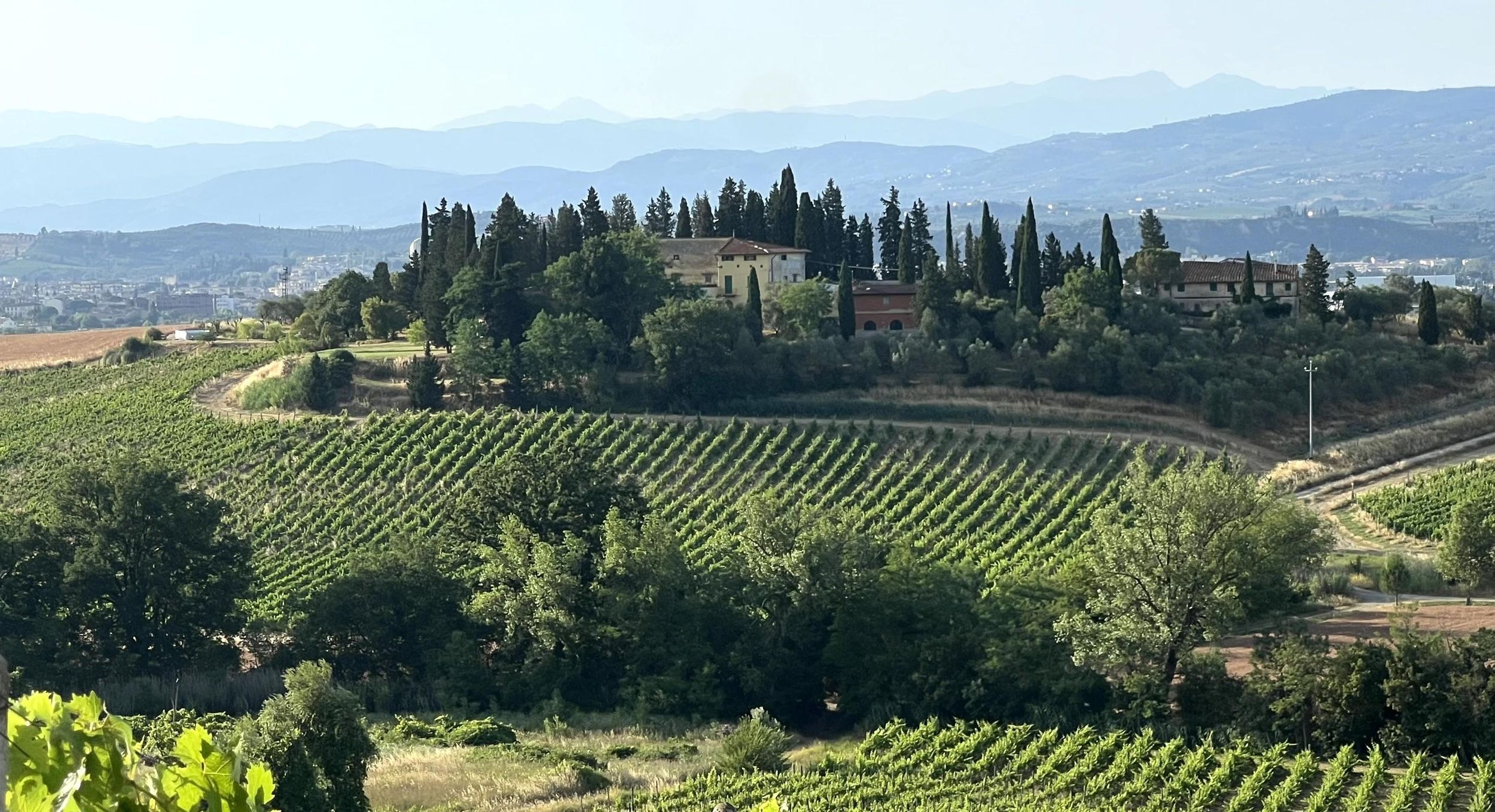 Chianti-Wein und spezielles leichtes Mittagessen