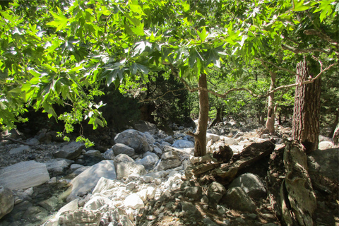 Gole di Samariá: escursione di un giorno con trekking da La CaneaDa Kalyves o Almyrida