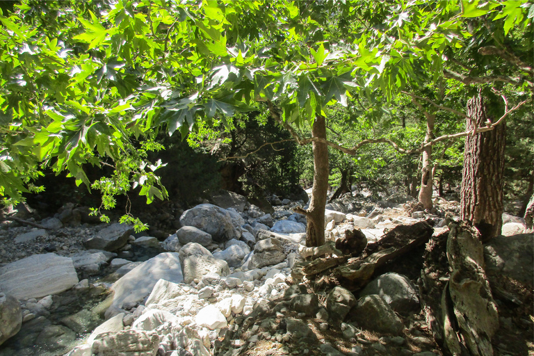 Desde La Canea: excursión de 1 día a la garganta de SamariaGarganta Samaria: excursión desde Kalyves o Almyrida