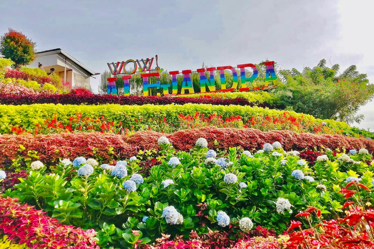 Cebu: Highland Dreamscape & TOPS Sunset Experience