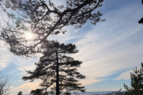 Oslo’s Most Beautiful Fjord Views - light hike version