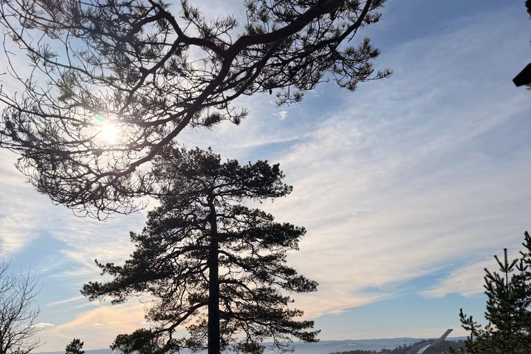 Oslo’s Most Beautiful Fjord Views - light hike version
