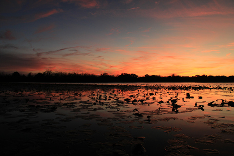 Orlando: Sunset guided kayaking tour