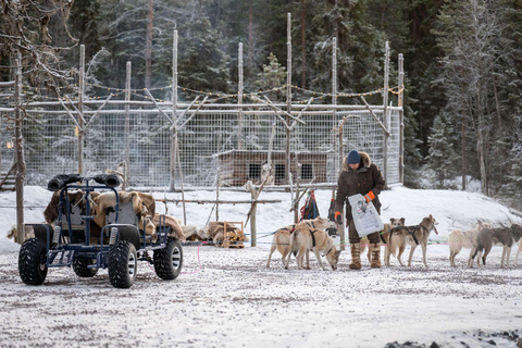 Rovaniemi: Autumn Husky Experience with cart ride and Photos