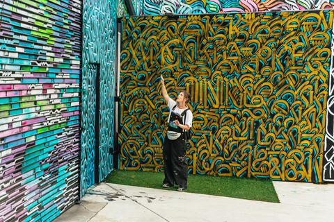 Miami: The Wynwood Walls official Tour