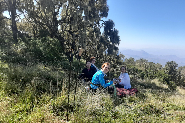 Lalibela Kirchen TagestourGanztägige Tour durch die Kirchen von Lalibela